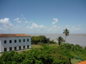 Alcantara