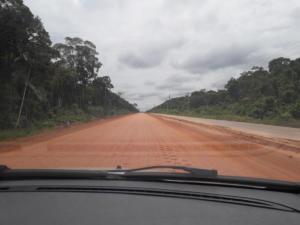 W drodze do Novo Airão 