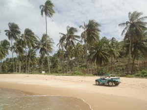 Maragogi