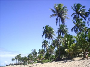 Praia do Forte  